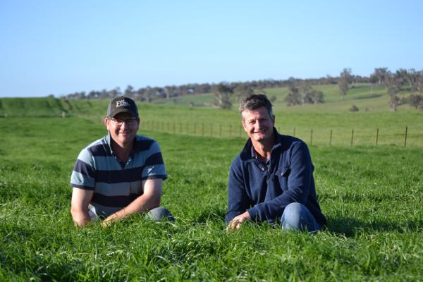 Taralga farmer Adrian Keith has used Knight Italian ryegrass to fill the winter feed gap on his family farm Pictured left with his brother Stuart